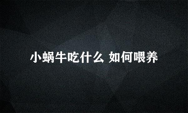 小蜗牛吃什么 如何喂养