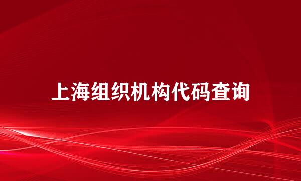 上海组织机构代码查询