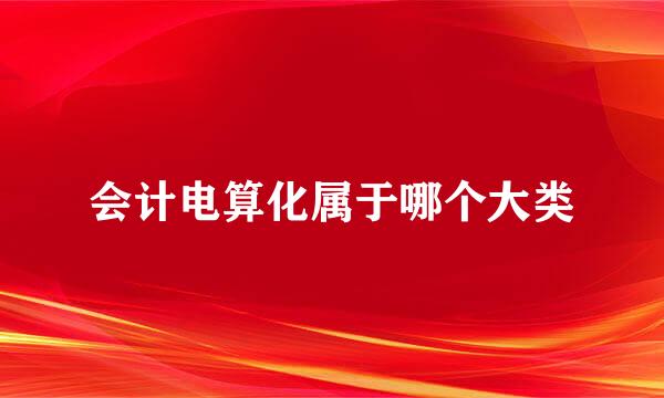 会计电算化属于哪个大类