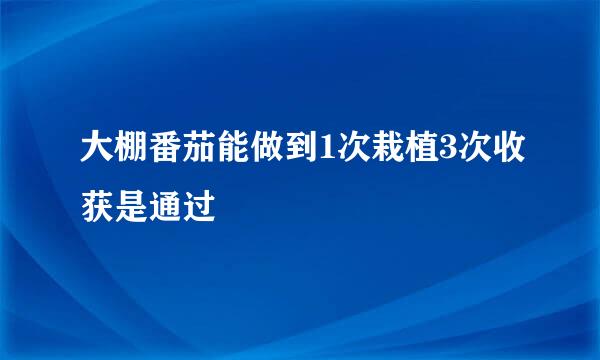 大棚番茄能做到1次栽植3次收获是通过