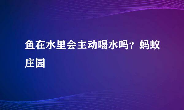 鱼在水里会主动喝水吗？蚂蚁庄园