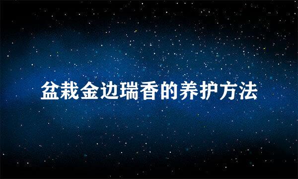 盆栽金边瑞香的养护方法