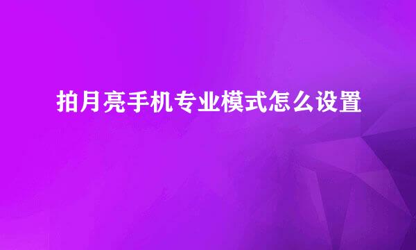 拍月亮手机专业模式怎么设置