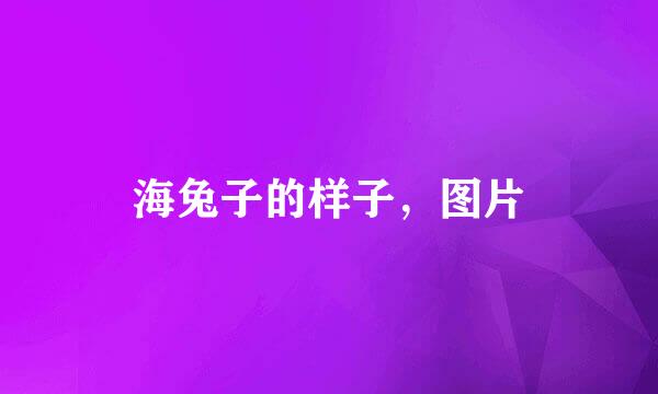 海兔子的样子，图片