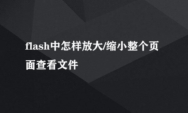 flash中怎样放大/缩小整个页面查看文件