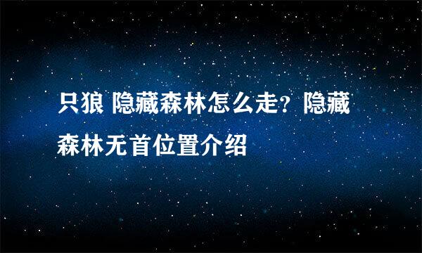 只狼 隐藏森林怎么走？隐藏森林无首位置介绍