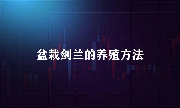 盆栽剑兰的养殖方法
