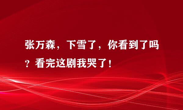 张万森，下雪了，你看到了吗？看完这剧我哭了！