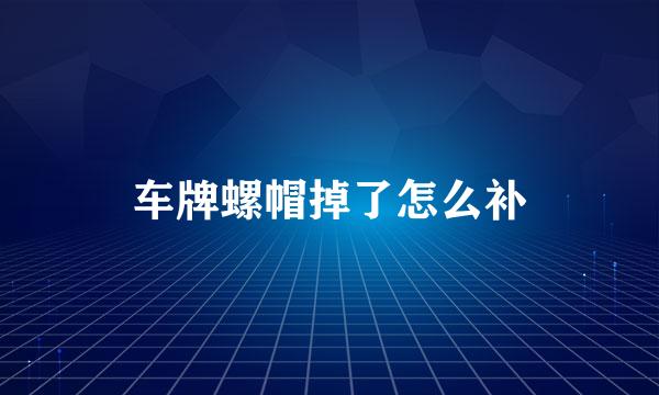 车牌螺帽掉了怎么补