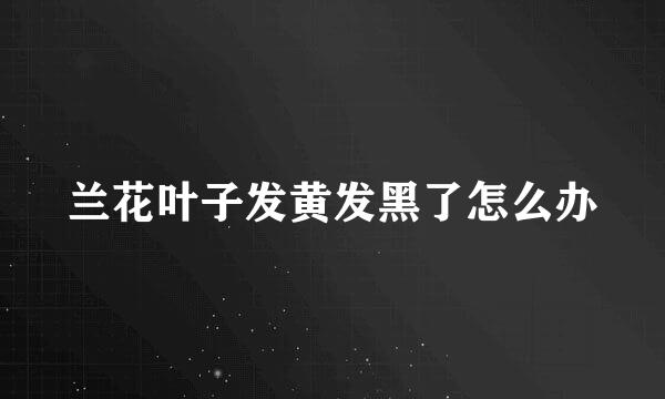 兰花叶子发黄发黑了怎么办