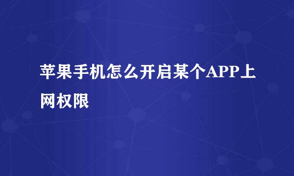 苹果手机怎么开启某个APP上网权限