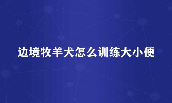 边境牧羊犬怎么训练大小便