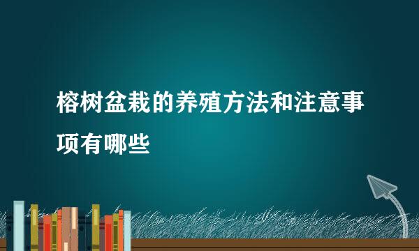 榕树盆栽的养殖方法和注意事项有哪些