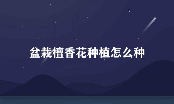盆栽檀香花种植怎么种