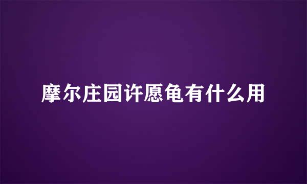 摩尔庄园许愿龟有什么用