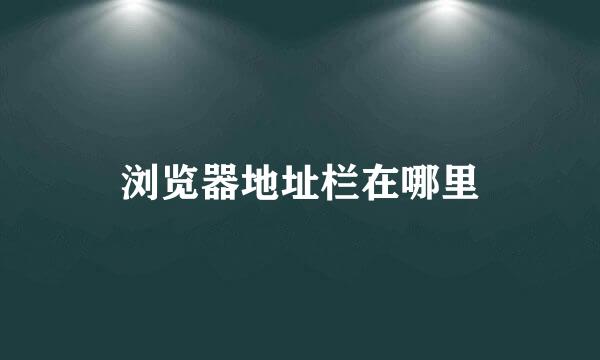 浏览器地址栏在哪里