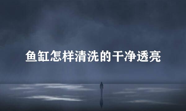 鱼缸怎样清洗的干净透亮