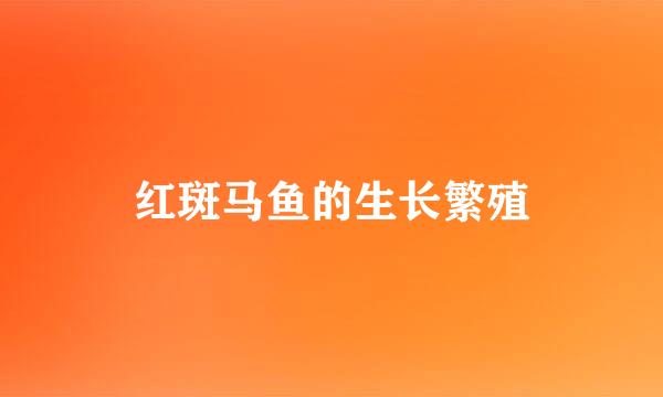 红斑马鱼的生长繁殖