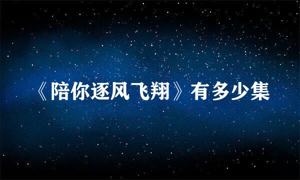 《陪你逐风飞翔》有多少集