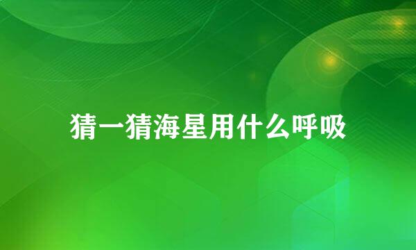 猜一猜海星用什么呼吸