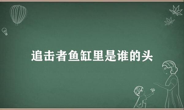 追击者鱼缸里是谁的头