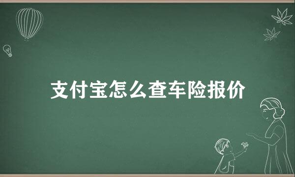 支付宝怎么查车险报价