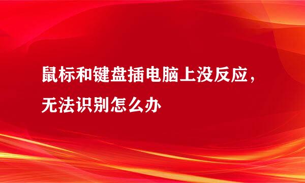 鼠标和键盘插电脑上没反应，无法识别怎么办