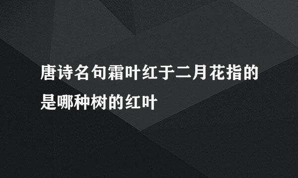 唐诗名句霜叶红于二月花指的是哪种树的红叶