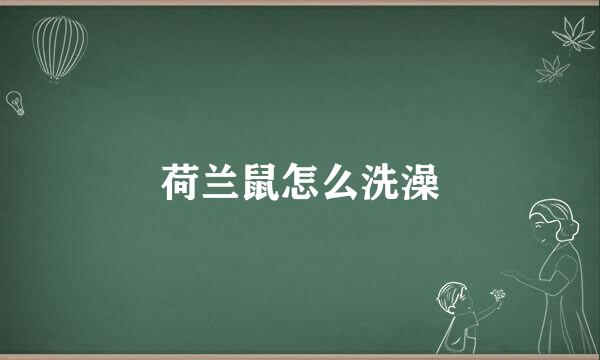 荷兰鼠怎么洗澡