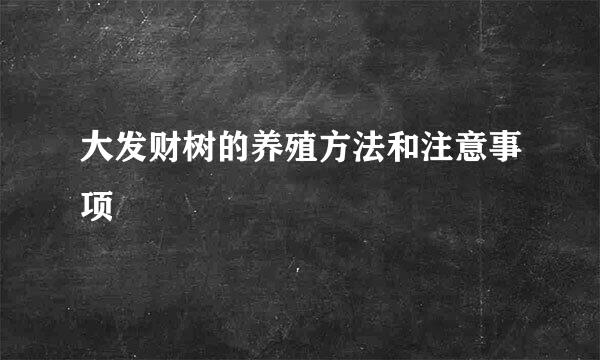 大发财树的养殖方法和注意事项