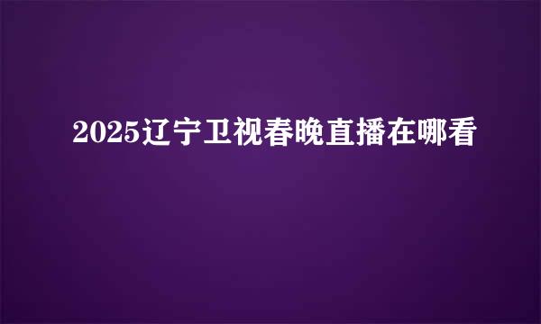 2025辽宁卫视春晚直播在哪看