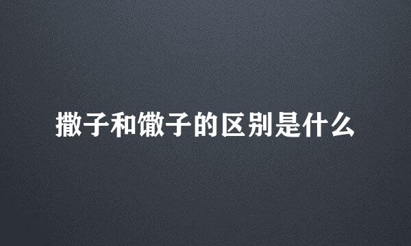 撒子和馓子的区别是什么