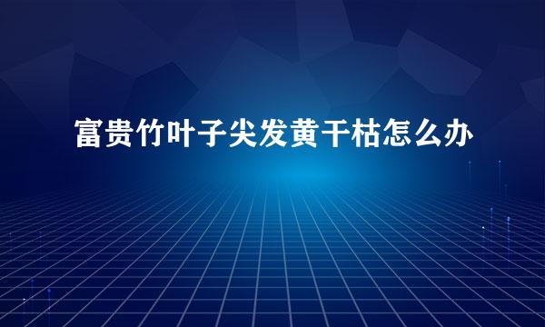 富贵竹叶子尖发黄干枯怎么办