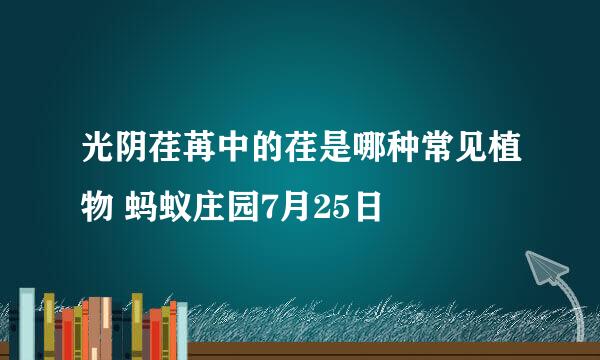 光阴荏苒中的荏是哪种常见植物 蚂蚁庄园7月25日