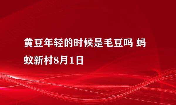 黄豆年轻的时候是毛豆吗 蚂蚁新村8月1日