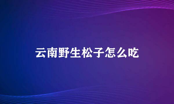 云南野生松子怎么吃