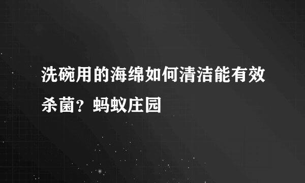 洗碗用的海绵如何清洁能有效杀菌？蚂蚁庄园