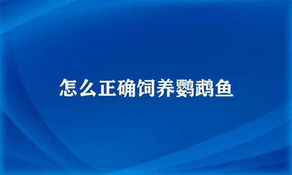 怎么正确饲养鹦鹉鱼