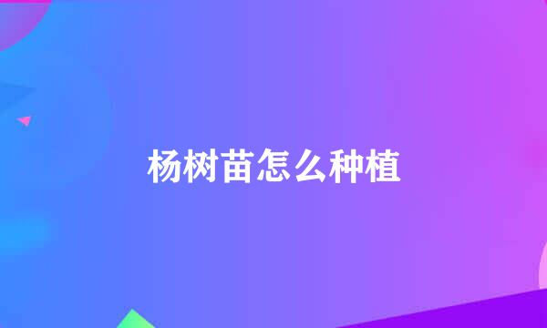 杨树苗怎么种植