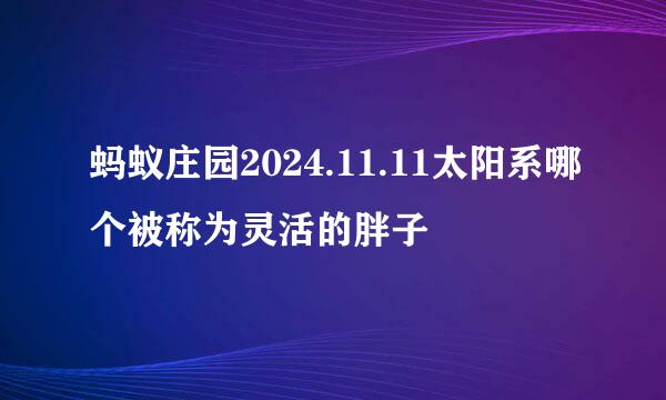 蚂蚁庄园2024.11.11太阳系哪个被称为灵活的胖子