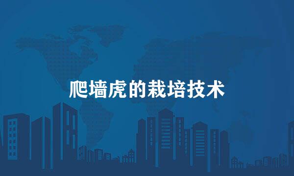 爬墙虎的栽培技术