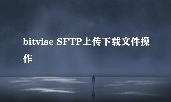 bitvise SFTP上传下载文件操作