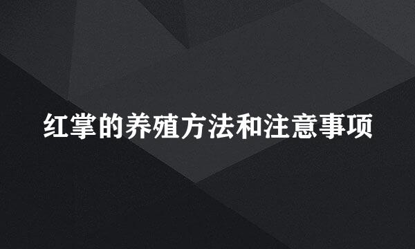 红掌的养殖方法和注意事项
