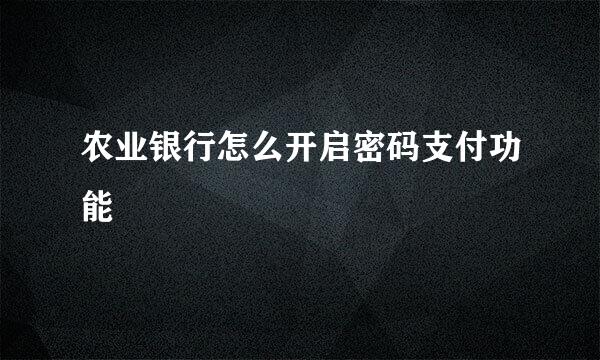 农业银行怎么开启密码支付功能