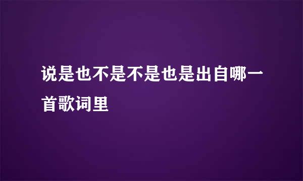 说是也不是不是也是出自哪一首歌词里