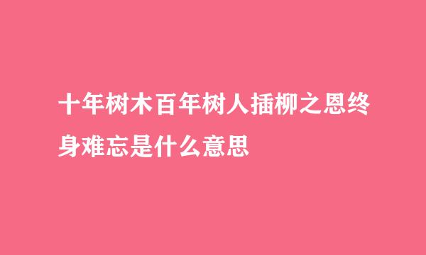 十年树木百年树人插柳之恩终身难忘是什么意思