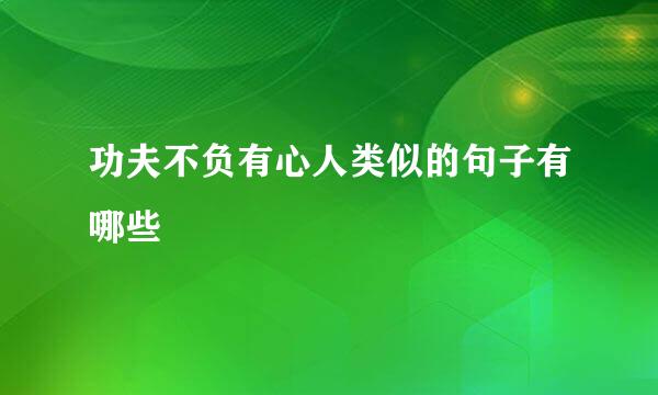 功夫不负有心人类似的句子有哪些