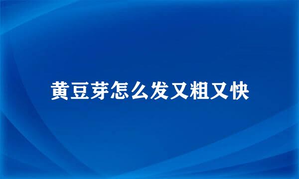 黄豆芽怎么发又粗又快