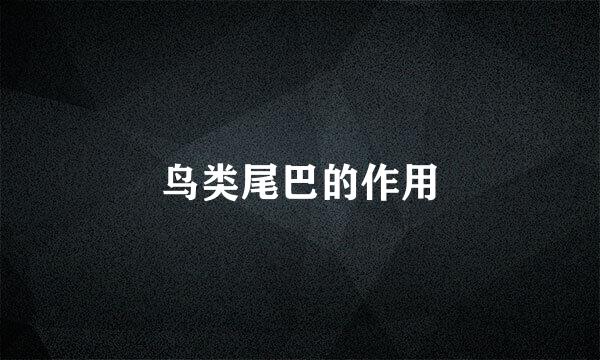 鸟类尾巴的作用