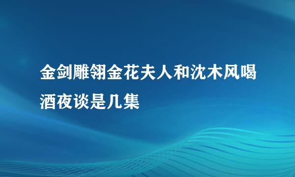金剑雕翎金花夫人和沈木风喝酒夜谈是几集